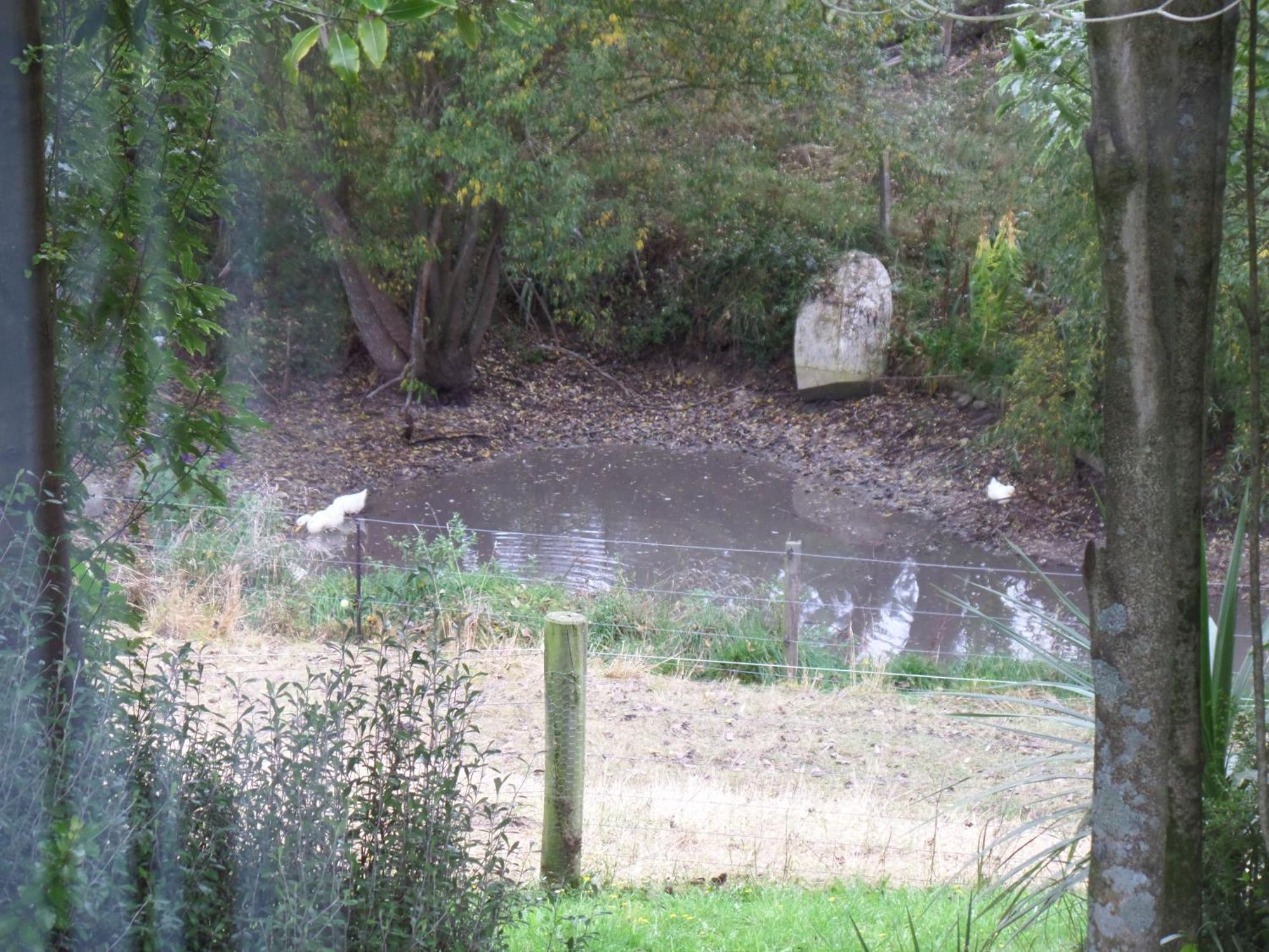 Riverstone House 3* Geraldine