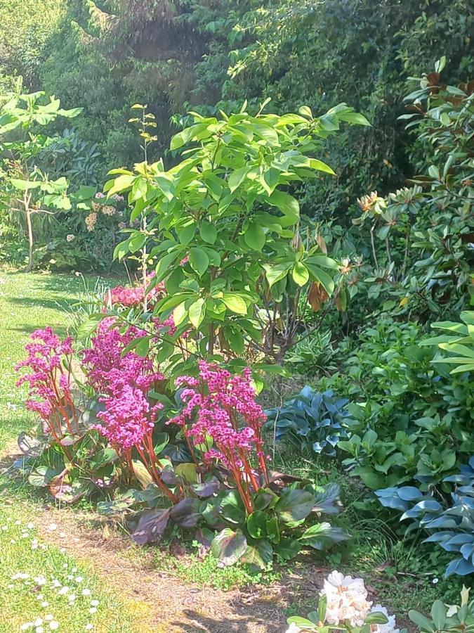 Riverstone House Bed & Breakfast