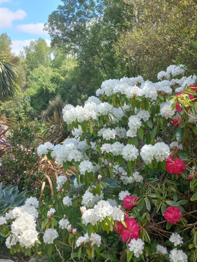 Bed & Breakfast Riverstone House 3*