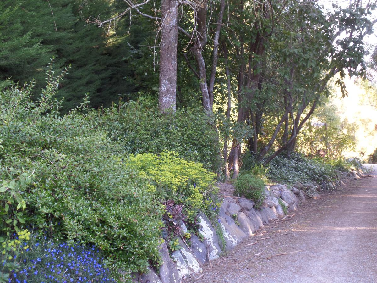 Riverstone House Bed & Breakfast 3*